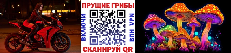 купить   Бугуруслан  Псилоцибиновые грибы ЛСД 